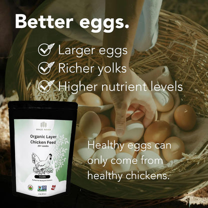 Organic Layer Chicken Feed