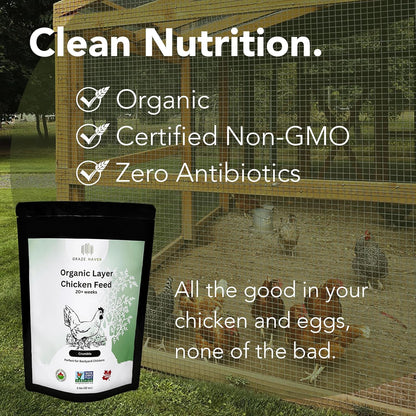 Organic Layer Chicken Feed