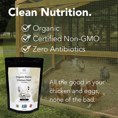 Organic Starter Chicken Feed
